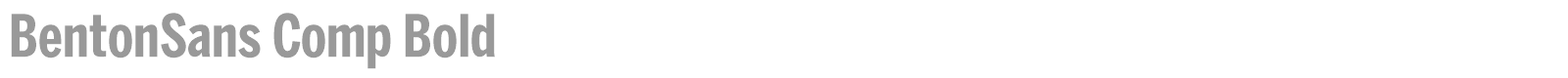 BentonSans Comp Bold font preview